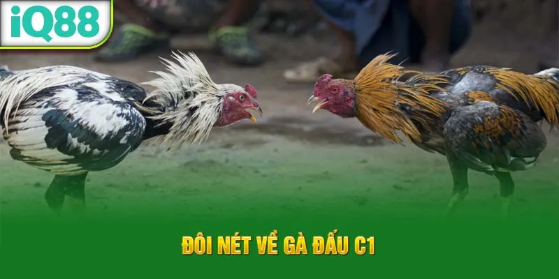 doi-net-ve-ga-dau-c1_1_11zon