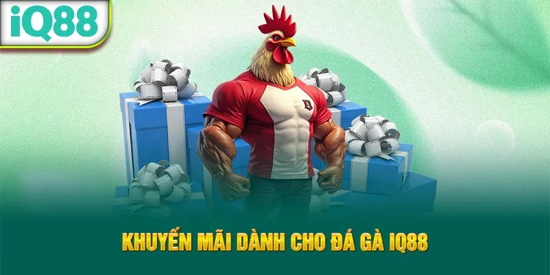 khuyen-mai-danh-cho-da-ga-iq88_10_11zon