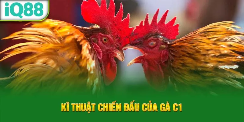 ki-thuat-chien-dau-cua-ga-choi-c1_23_11zon