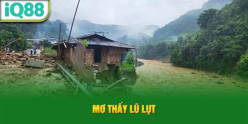 mo-thay-lu-lut_17_11zon