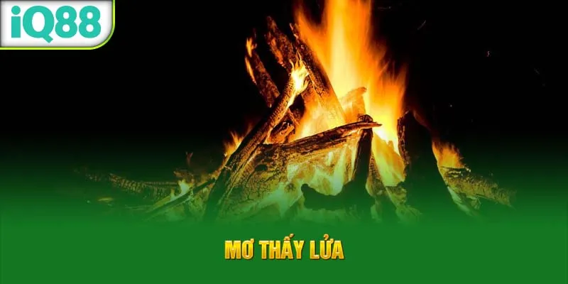 mo-thay-lua_15_11zon