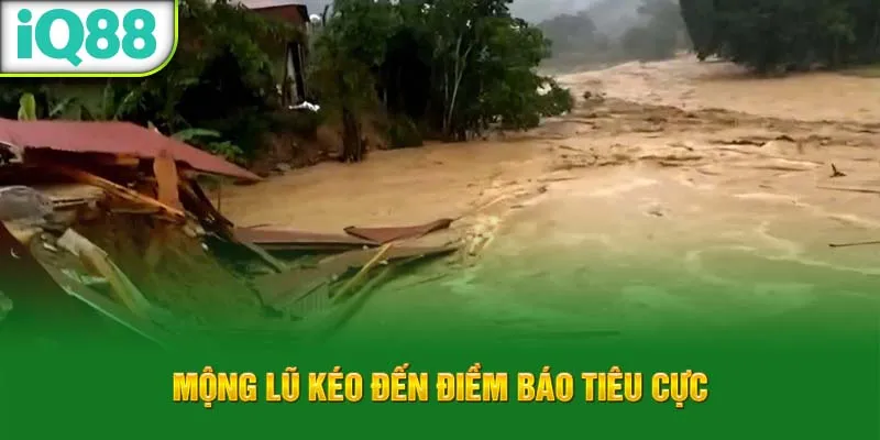 mong-lu-keo-den-diem-bao-tieu-cuc_14_11zon