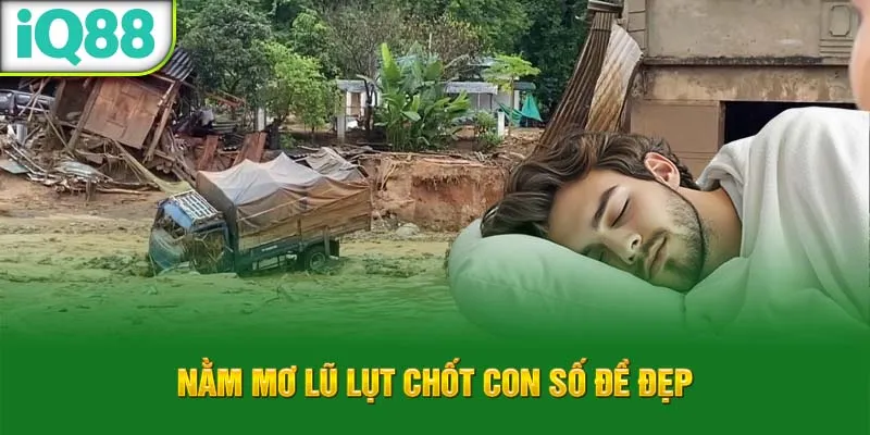 nam-mo-lu-lut-chot-con-so-de-dep_18_11zon