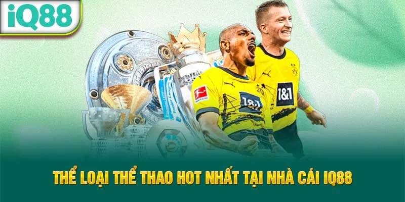 the-loai-the-thao-hot-nhat-tai-nha-cai-iq88_22_11zon