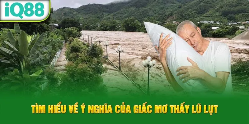 tim-hieu-ve-y-nghia-cua-giac-mo-thay-lu-lut_20_11zon